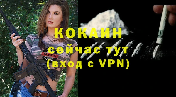 спиды Михайлов