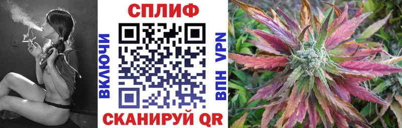 Каннабис SATIVA & INDICA  Купить где  Гаврилов-Ям 